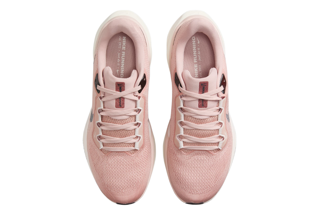 Air Zoom Pegasus 41 For Women